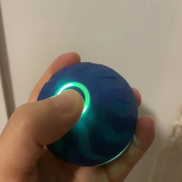 Luxury Giant Interactive Bouncing Dog Ball - Picture 12 of 13